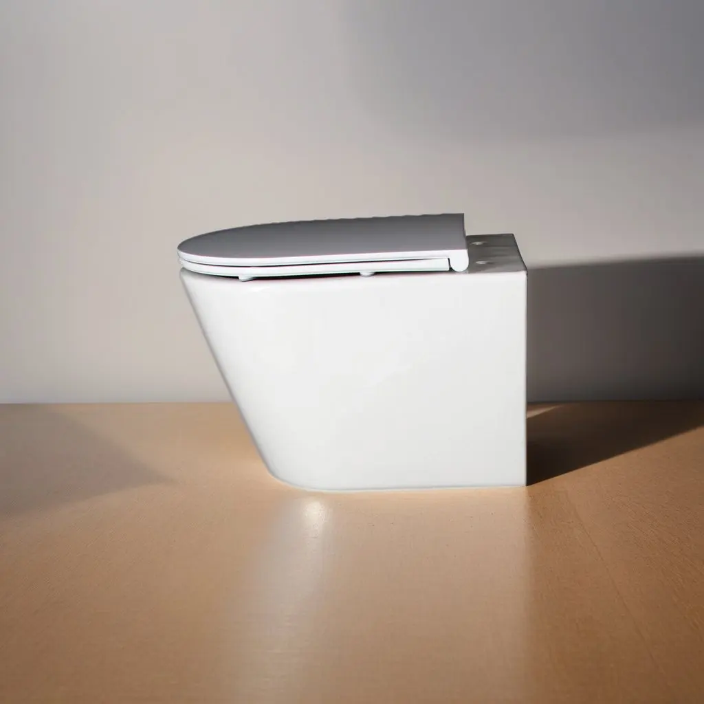 Water Closet Dual Flush Bathroom WC Wall Mounted Wall Hung Ceramic Toilets