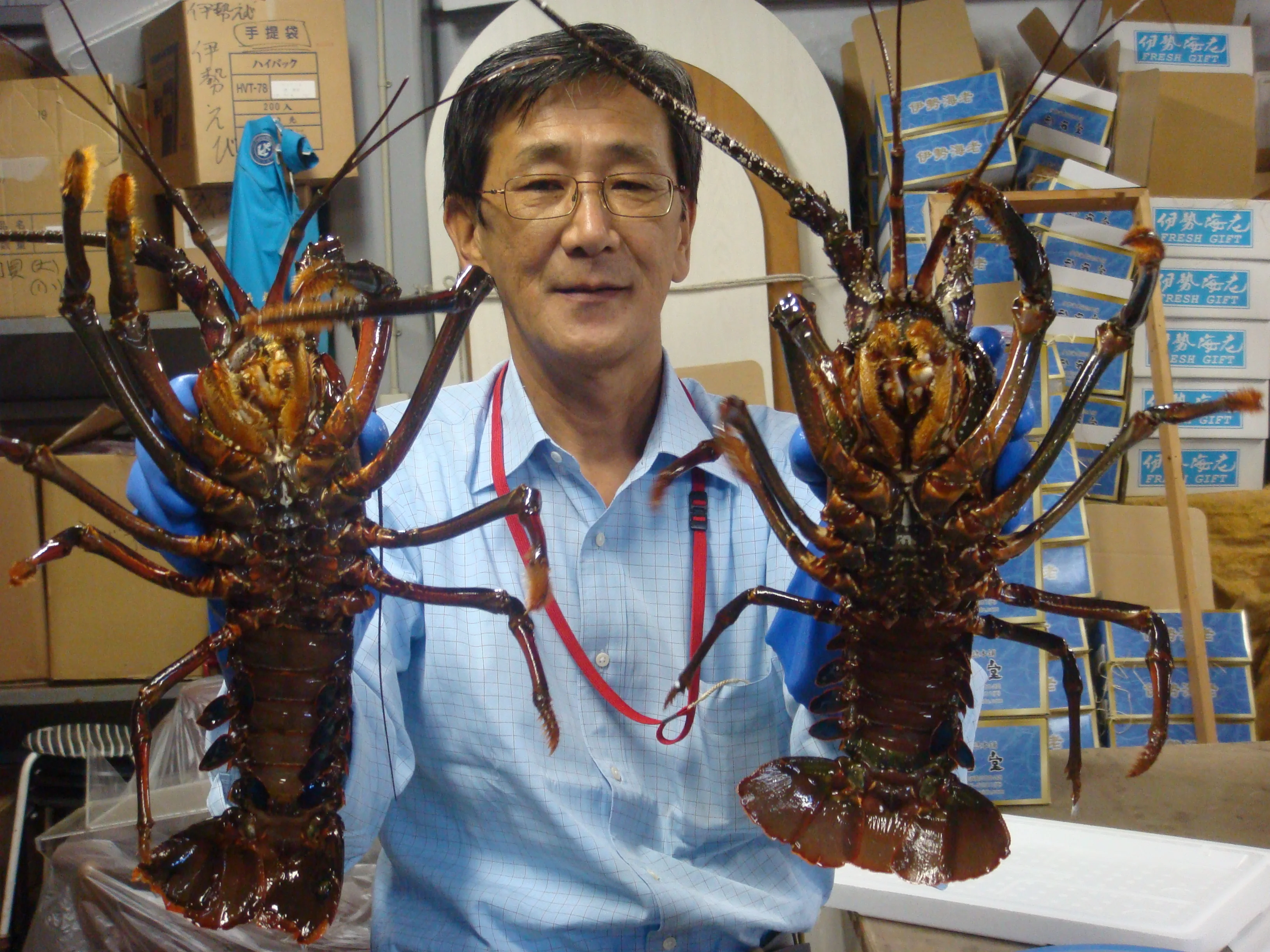 
Japanese mie prefecture safe and secure seafood meat frozen lobster 