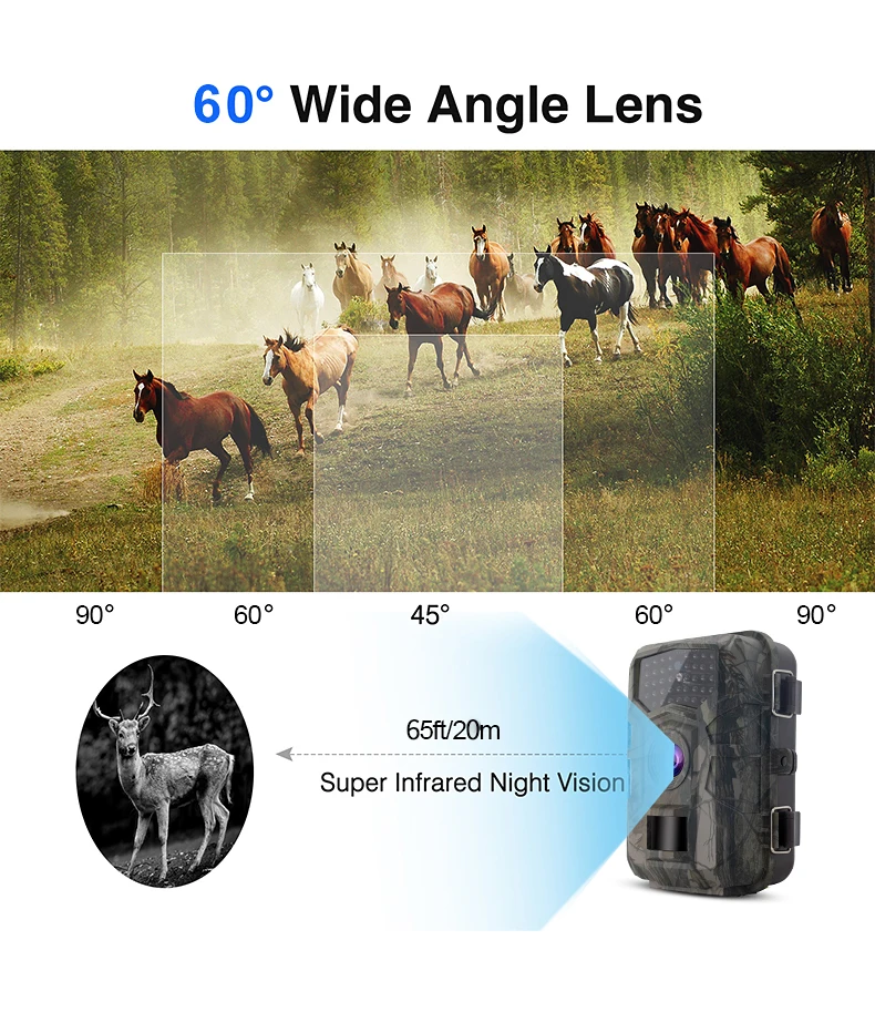 IR Cut Cmos Camera Function  Full HD 1080P 4K Night Hidden Trail Camera IP66 Waterproof Hunting Camera