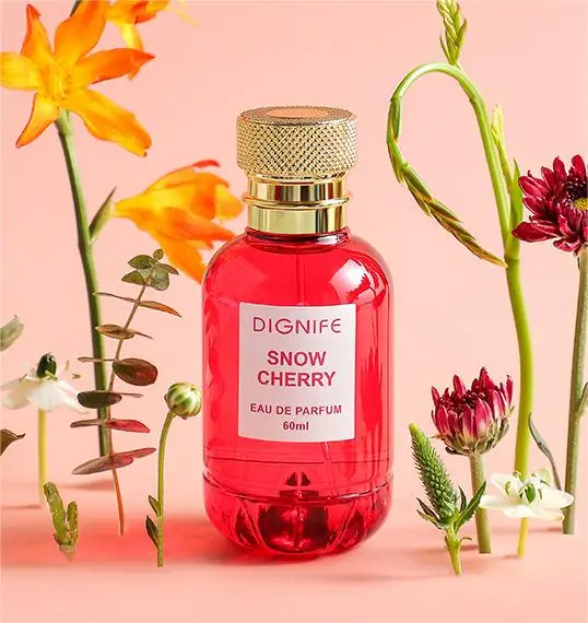 OEM Wholesale High Quality Luxury Eau De Parfum for Women Sexy Perfume Fragrance Oil Luxury Brand