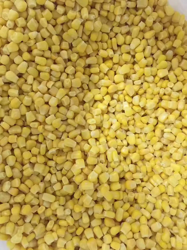 Wholesale  Dried Corn Grain  Dried Yellow Corn for Food   Frozen Corn Kernels