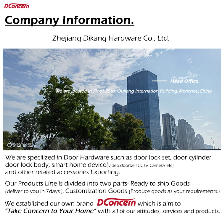 Factory Customized Iron with Aluminum Alloy Panel Door Handle