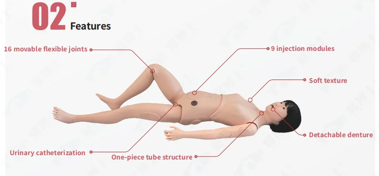 Advanced Female Nursing Manikin