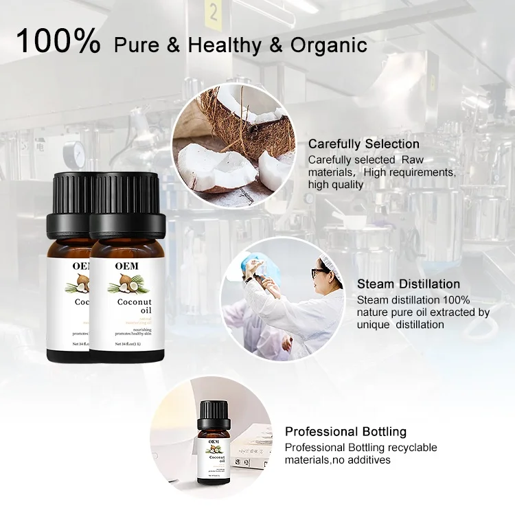 Wholesale OBM Essential Oil New Aromatherapy Bulk Virgin Coconut Essential Oils For Skin