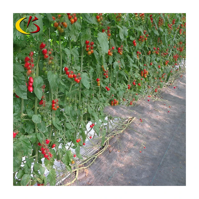 Vertical Cultivation Growing Herbs Indoors Hydroponic System Agriculture Tower System for Tomatoes