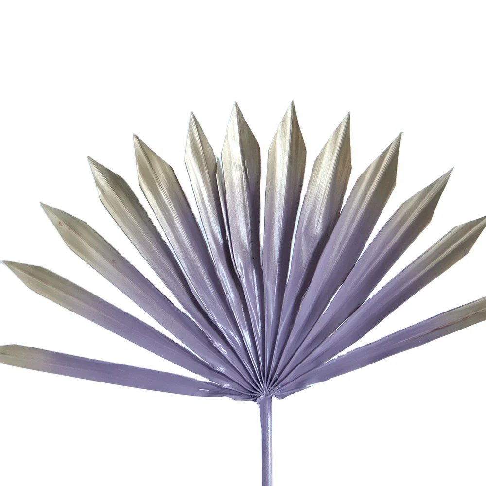 Primary Source Wholesale  Dried Flower Sun Plam Fan Leaves Sprayed color  Plant Material for Home Hotel Office Party Wedding Dec