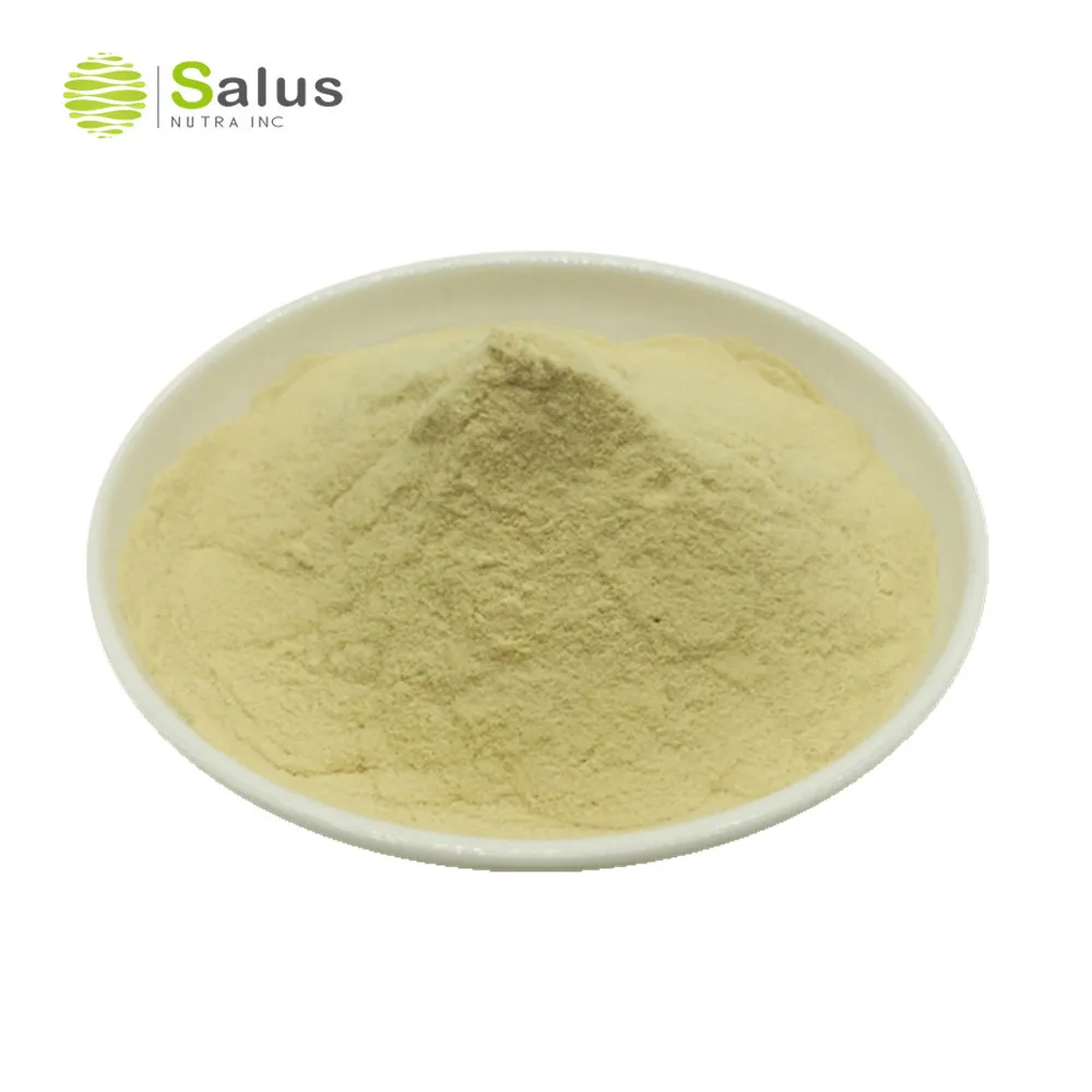 High Quality Nuclease 12,000u/g CAS 60675-83-4 Nuclease