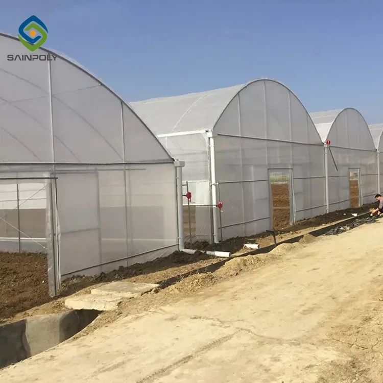 Sainpoly Agricultural Greenhouses Plastic Films Green Large Small Sizes