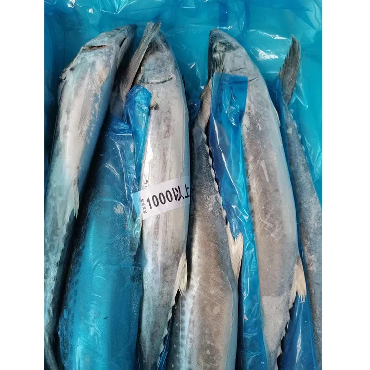 Горячая Распродажа, хорошая цена, морепродукты, все товары для скумбрии в Китае, дешевая замороженная рыба, испанская скумбрия, оптовая продажа