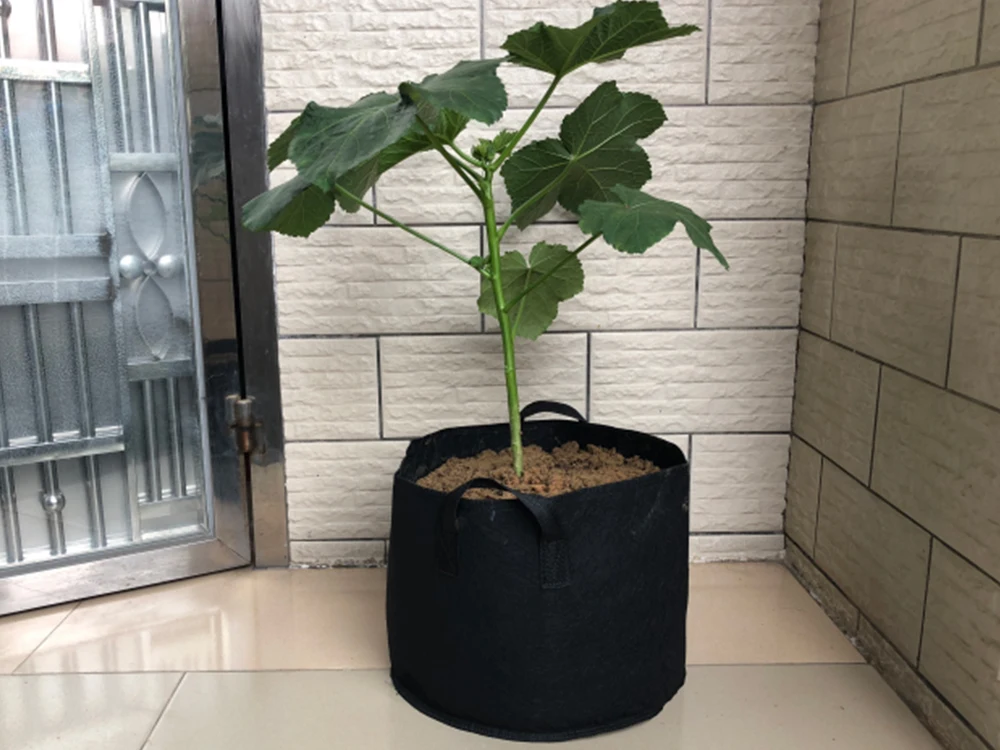 Wholesale 20 gal fabric plant pots durable vegetable garden growing bags non woven felt  5 7 10 15 20 gallon planter fabric pots