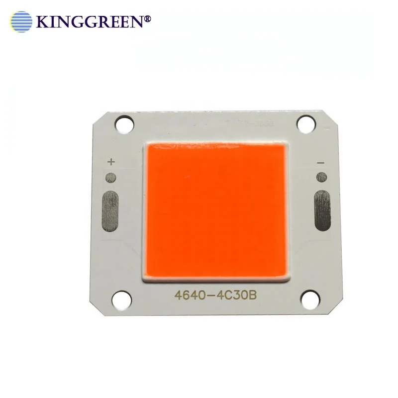 High quality 12V LED Grow COB Light Chip 50W Full Spectrum For Growth Flower Seedling Grow Plant Lighting