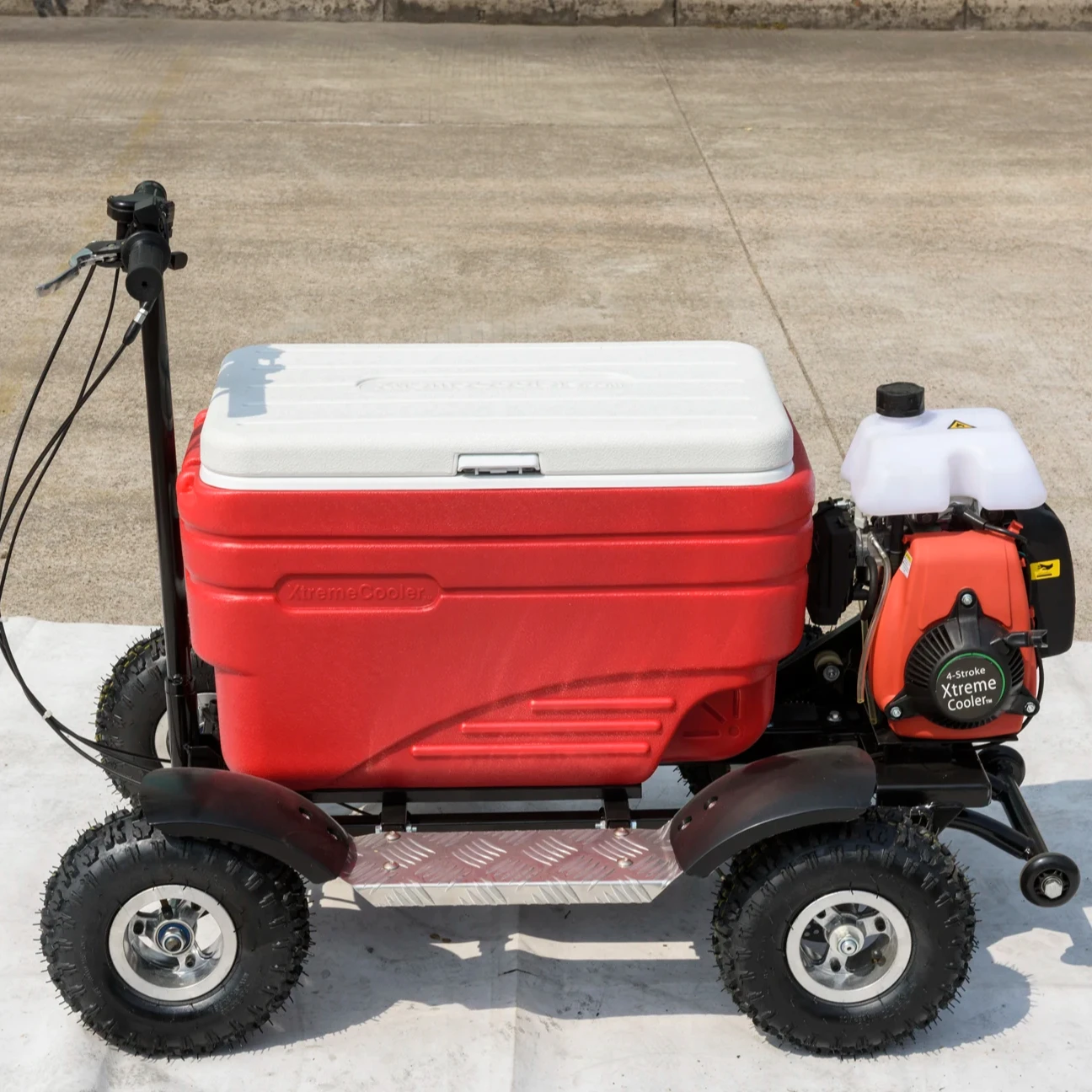 Premium Disk Brake Electric Motorized Cooler Outdoor Camping Using 4 Wheels Cooler Scooter