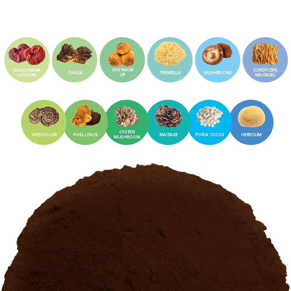 Private Label OEM Organic 12 in 1 Powerful Mix Mushroom Extract Powder Blend Lions Mane,Cordyceps,Reishi,Chaga,Turkey Tail