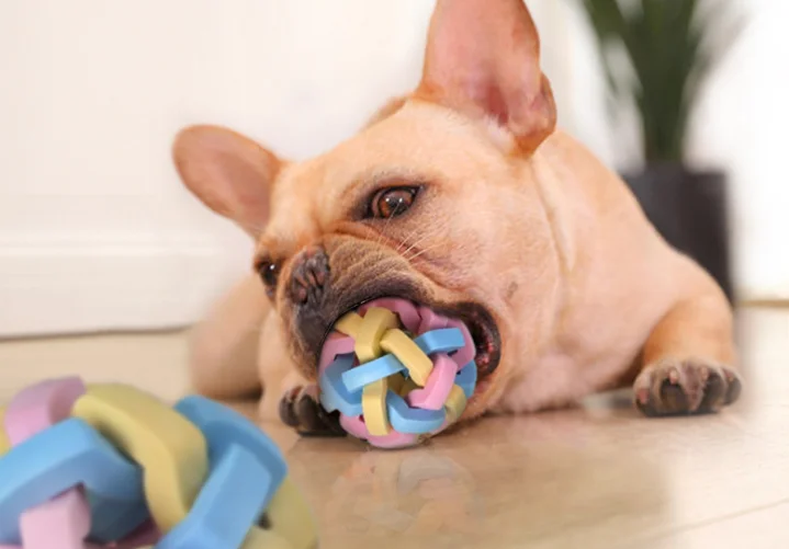 Rubber Pet Cleaning Balls Toys Ball Chew Toys Tooth Cleaning Balls Food Dog Toy with bell macroon S/M/L