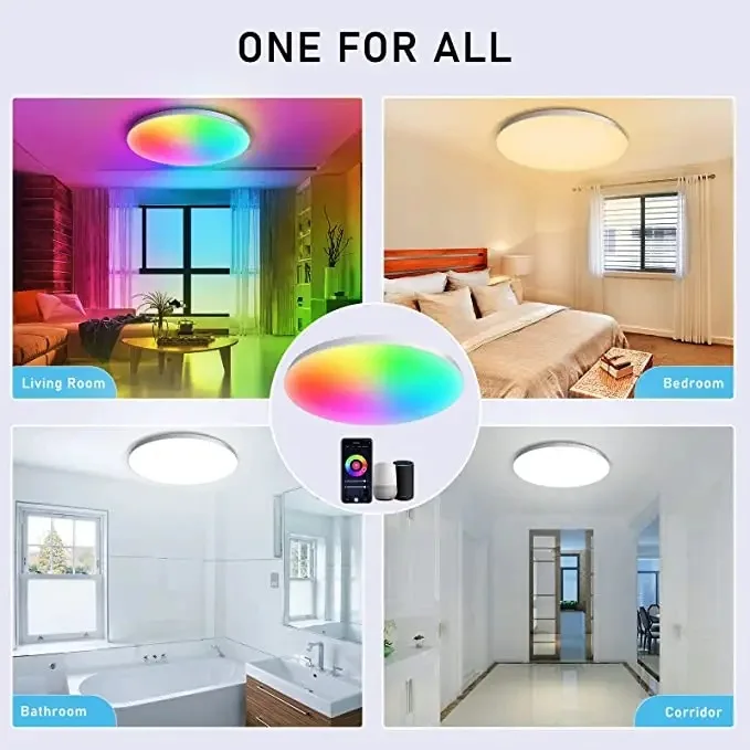 24W Indoor TUYA WIFI RGB+CCT Smart Work With Alexa Led Ceiling Light