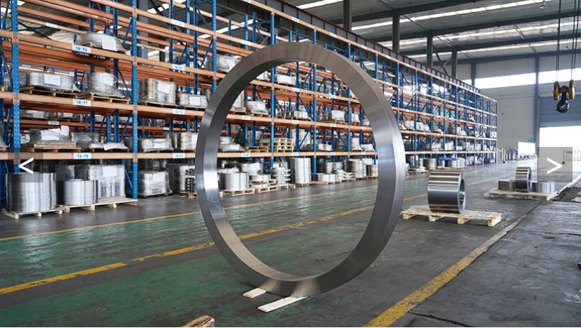 Professional manufacturer of large diameter forged flange