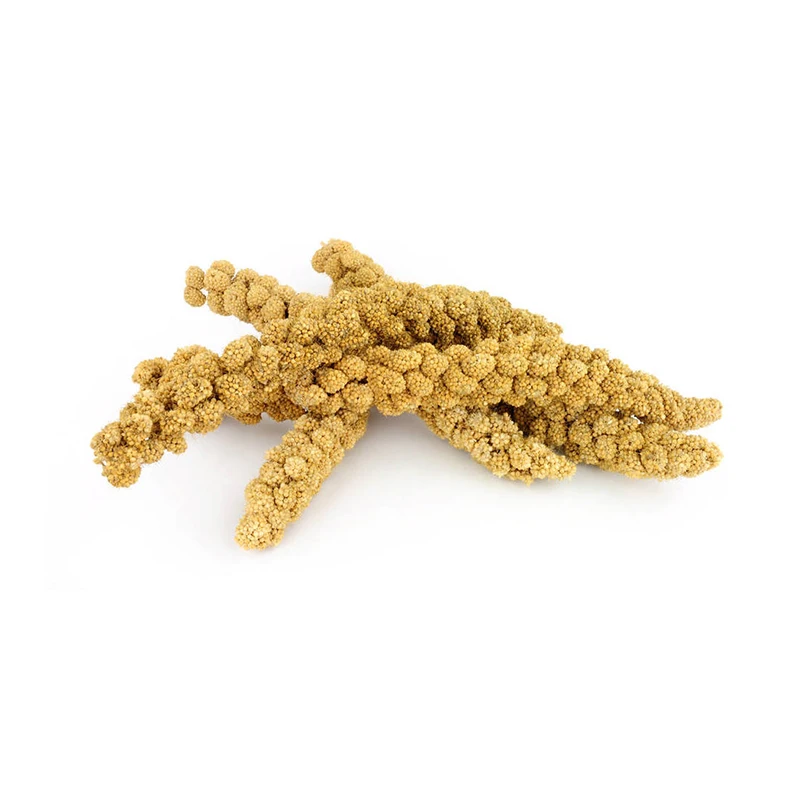 Оптовая цена, прямые продажи с завода, сбалансированное питание, прошу, легко использовать, прошу для птиц, подходит для всех птиц