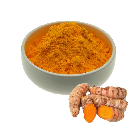 Hot Sale Tumeric Extract Powder/100%  Tumeric Curcumin 95% Powder Extract in China