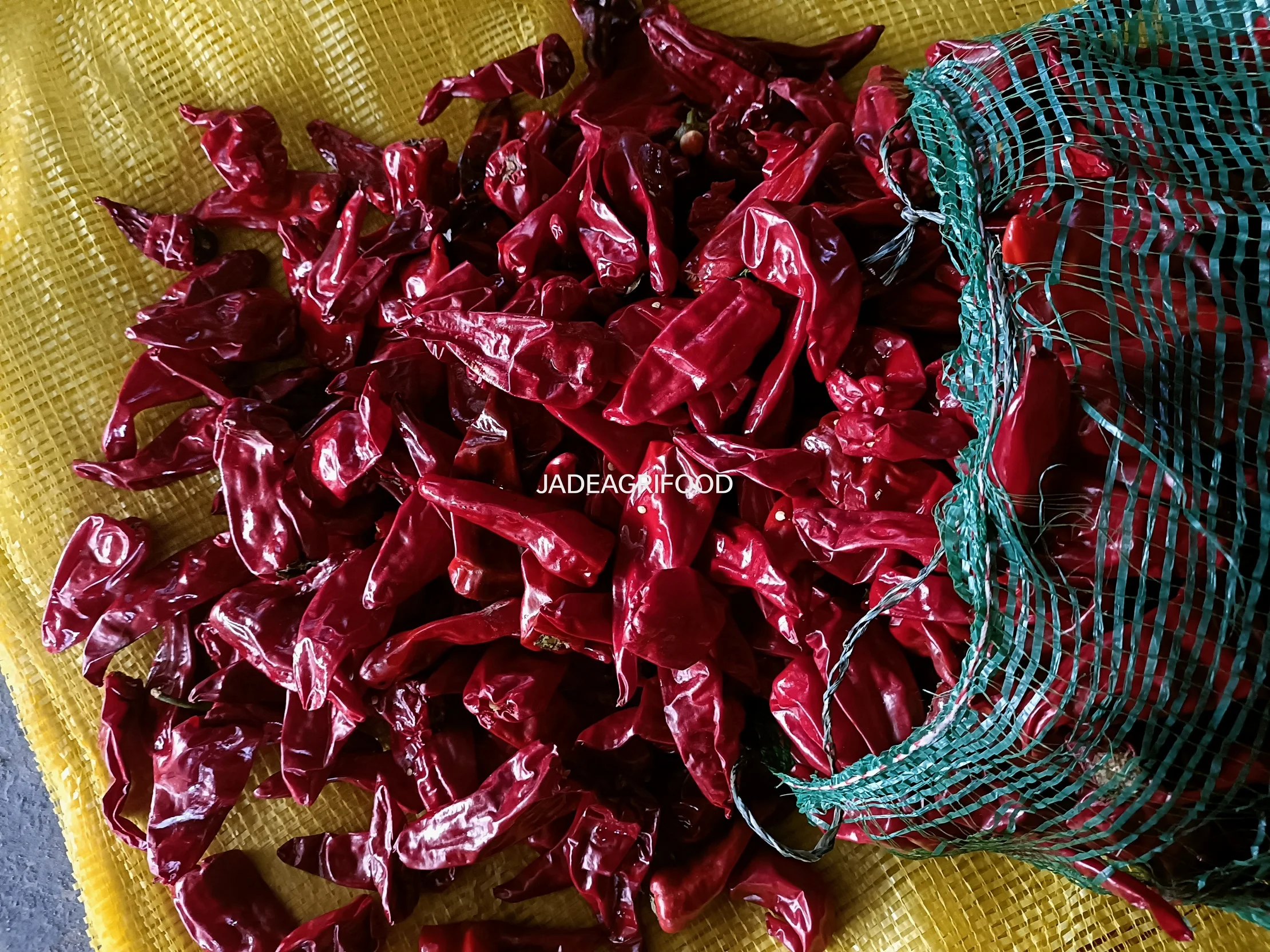 Dried Red Chili  Dry Hot Pepper  Chinese Dried Red Chilli