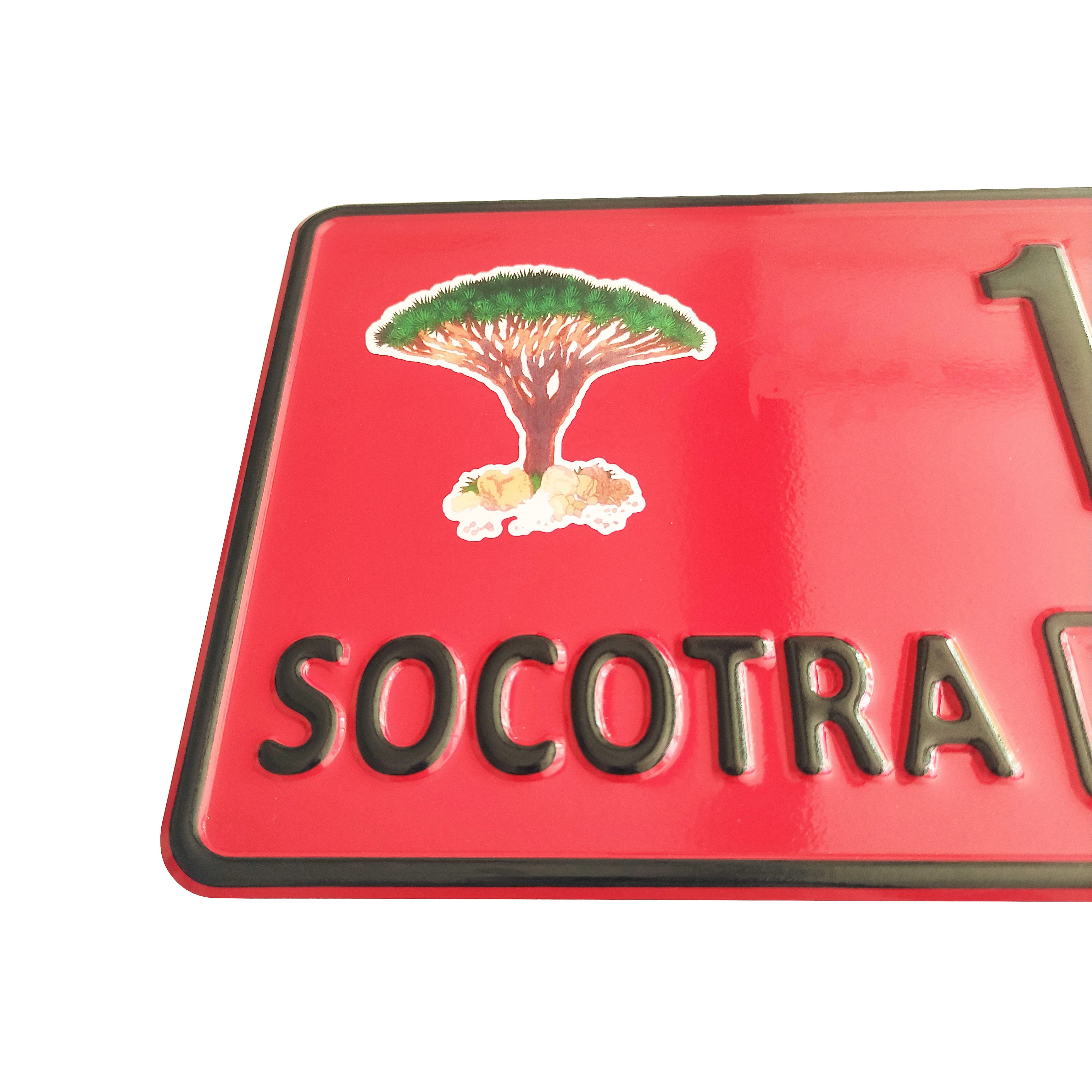 High Quality Custom Printing Privacy License Plate Aluminum Sheet Decorative Socotra Car Number Plate