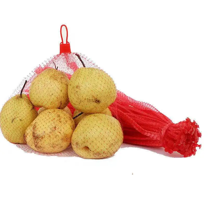 Best Selling use for packing vegetable and fruit mesh bag /net bag