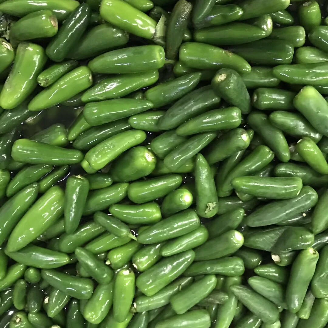 
IQF Organic Jalapeno in Fresh Condition 
