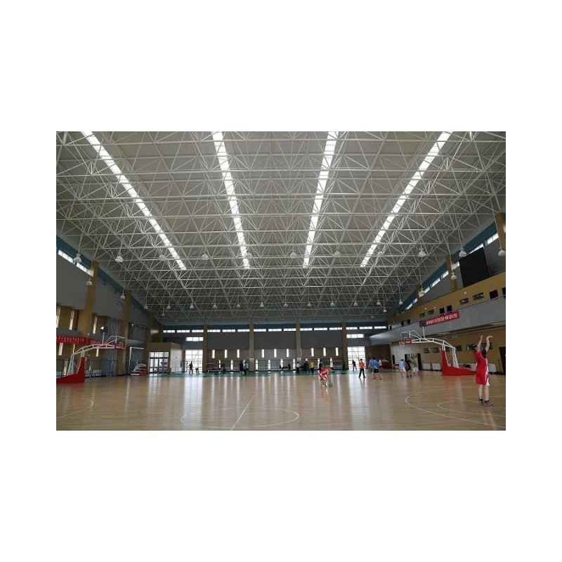 Modern prefabricated steel structure space frame stadium basketball stadium construction