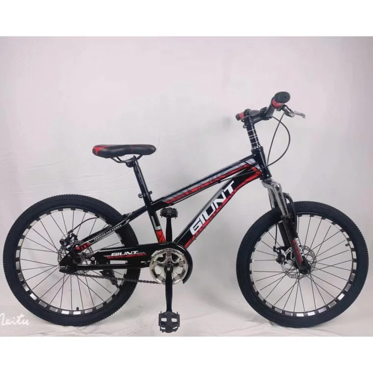 2024 New Model 20-Inch Single Speed Mountain Bike Steel Fork Disc Brake & Ordinary Pedal 20*2.4 Tire Mountain Bikes Bicycle