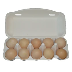 High Quality Biodegradable Compostable 10 Holes Egg Tray Carton