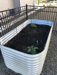 Ivory(Pearl White) Aluzinc Coated Modular Metal Raised Garden Bed Stainless Steel Planter Box 32' Tall