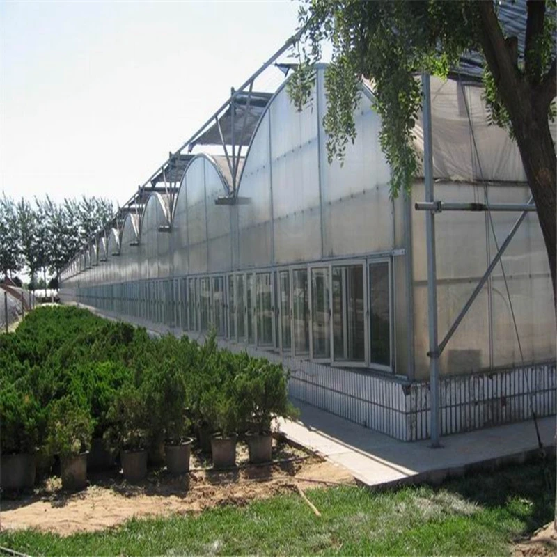 Large Agricultural Polycarbonate Greenhouse Frame Steel Galvanized Steel Stable Stable Greenhouse