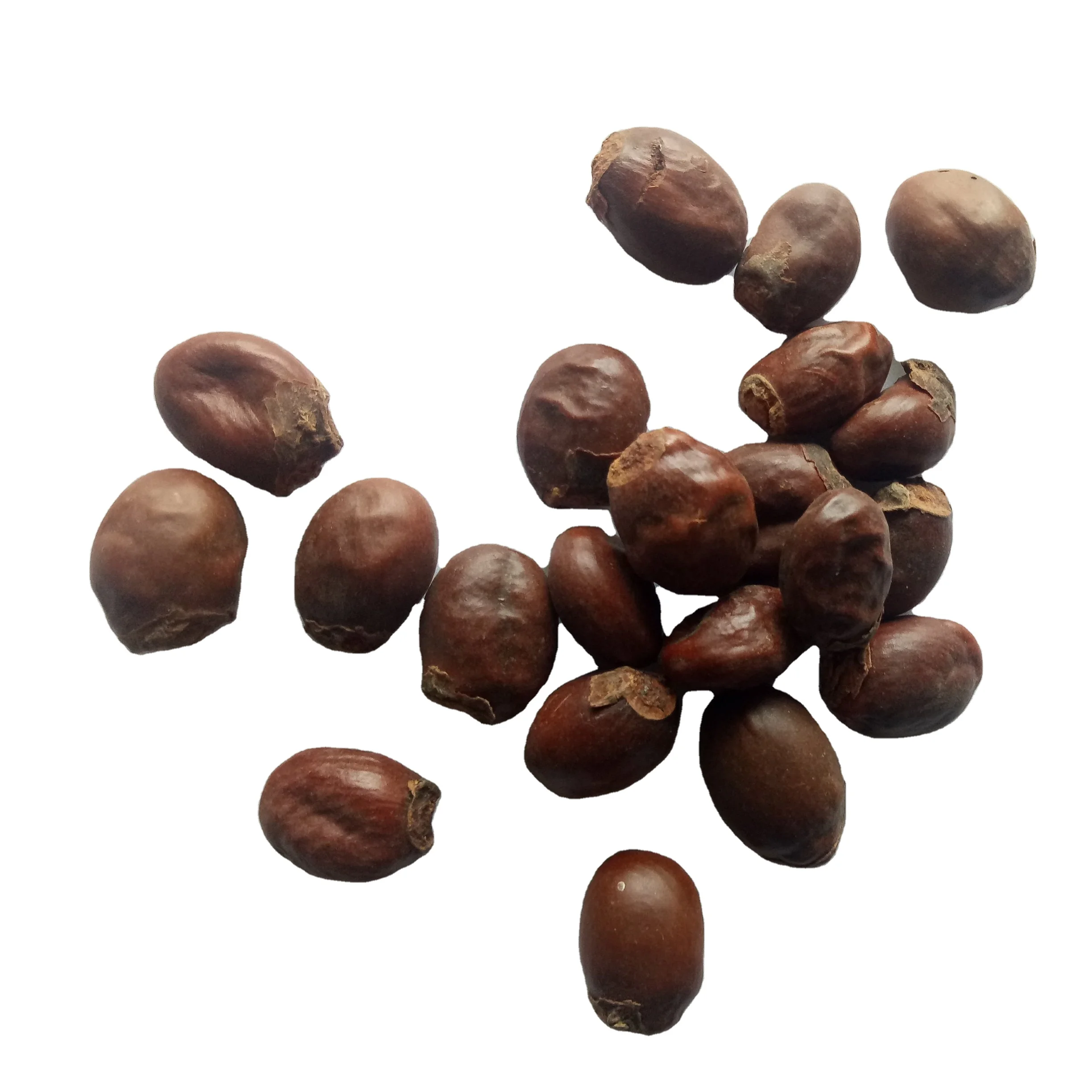 Li zhi he High quality pure seeds dried natural Semen