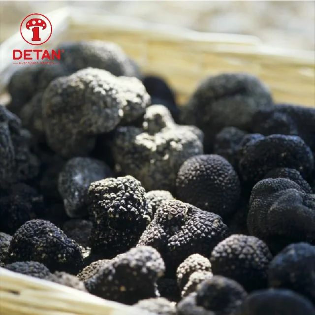 Detan Свежий Дикий черный свежий трюфель для покупателя на