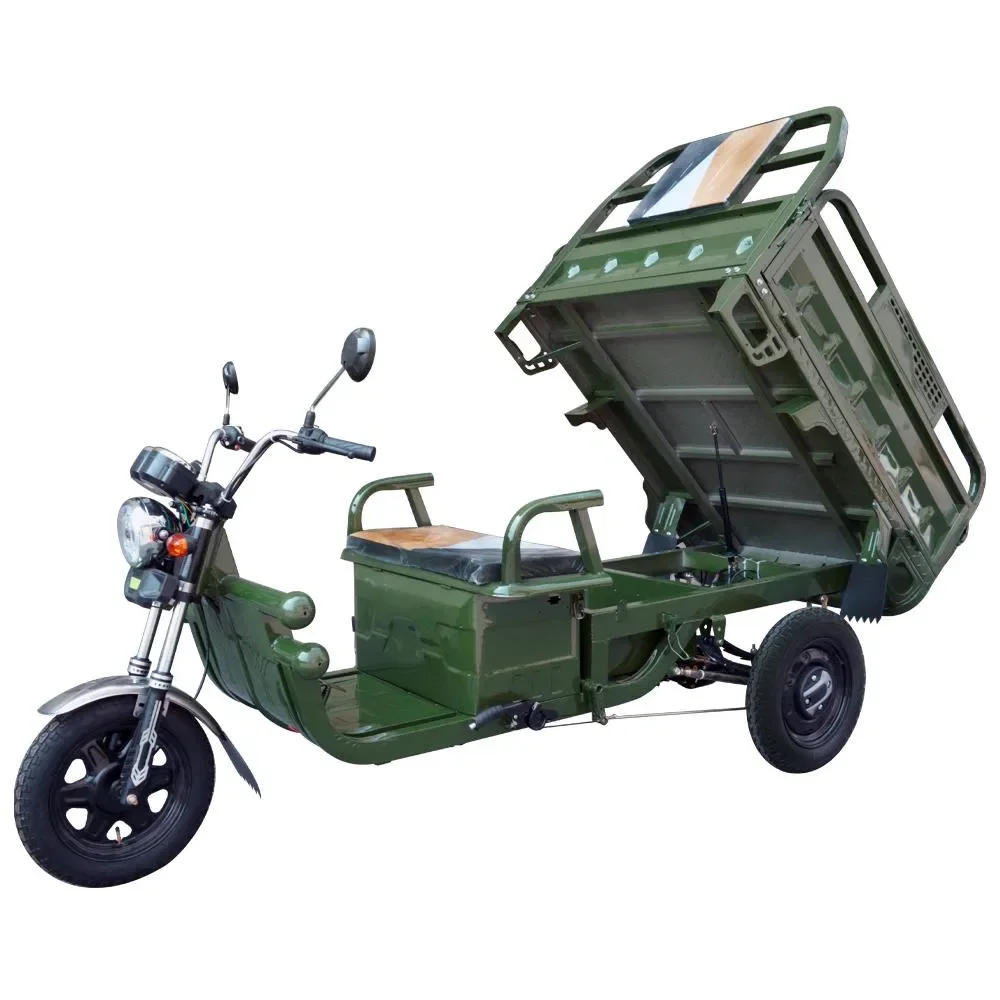 Best Price Electric Cargo Tricycle for Adults with Big Wheel 60v Central Motor Integrated 20ah Battery