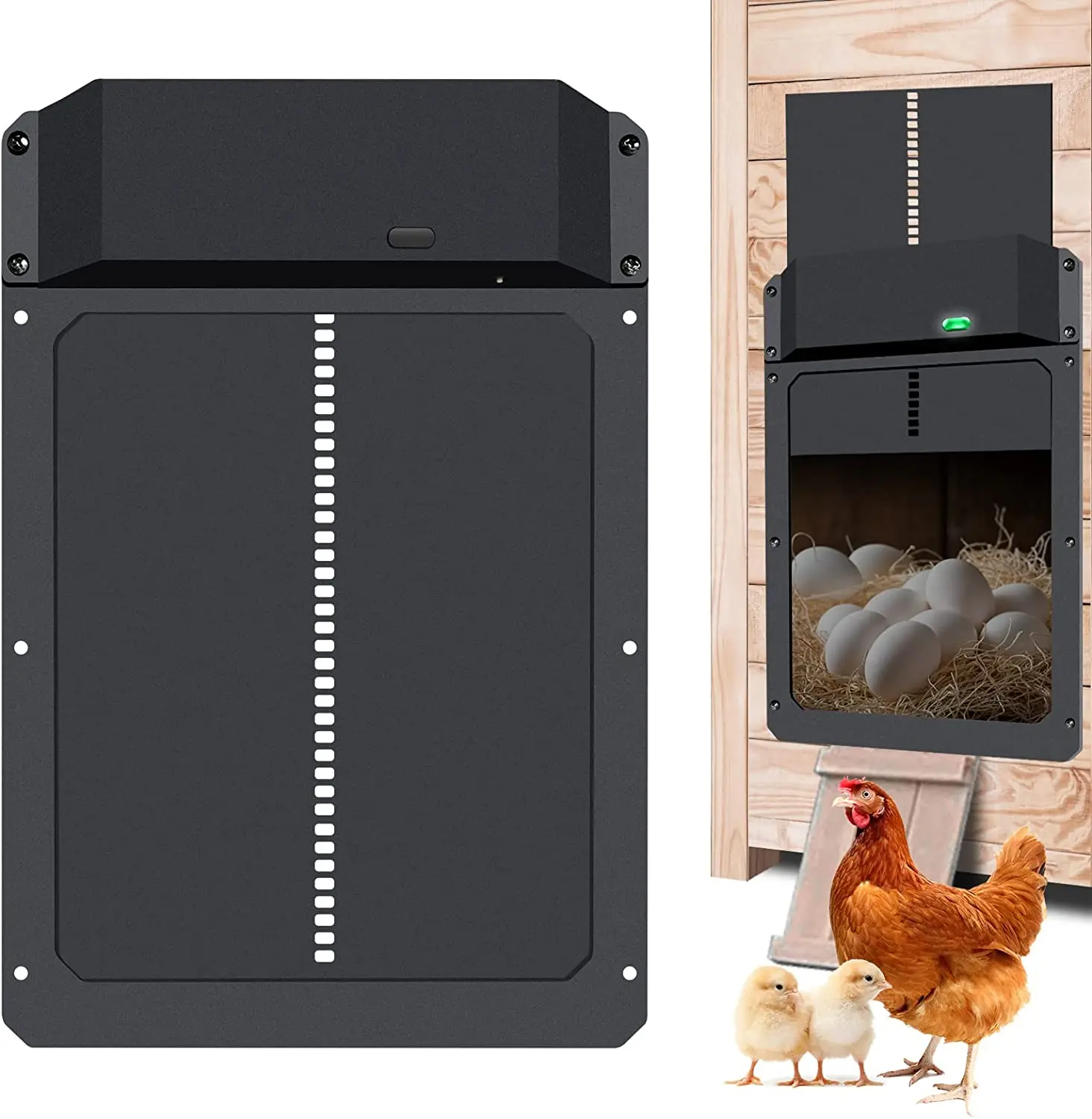 USA In Stock chicken coop door winter chicken coop door opener youtube best automatic chicken coop door 2021