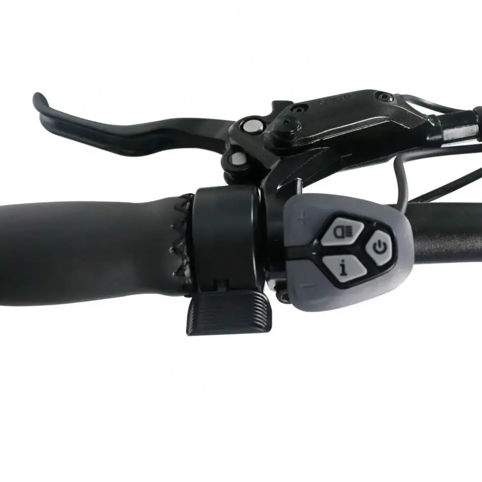 Factory Direct Sales Wholesale Price Bike Cargo Electric