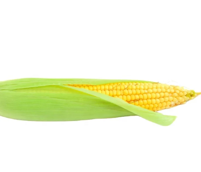 
wholesale IQF Vegetables Frozen canned sweet corn 