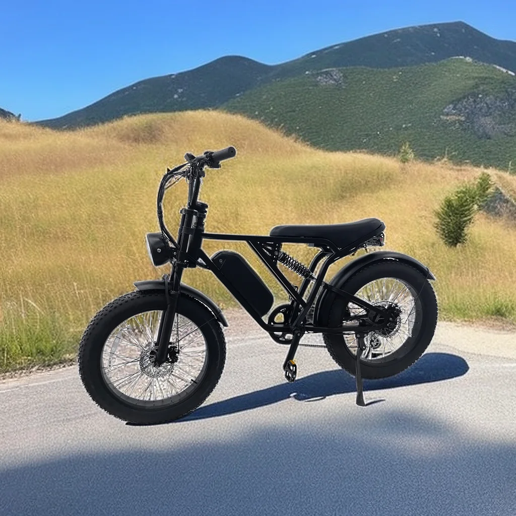 Eheet in Nederland Stock Fatbike Ebike 20 дюймов 24 дюйма 250 Вт 500 вездеходный Электрический велосипед стальной Germany EU для взрослых E Bike