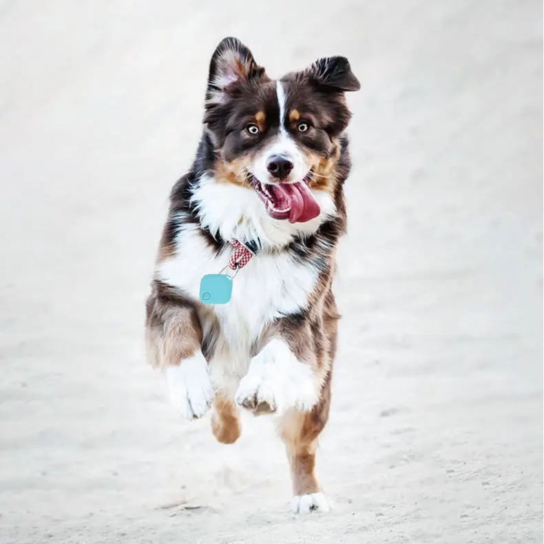 Smart GPS Pet Tracker Vehicle Anti-lost Alarm Tag Wireless Tracking Device Tag Bag Wallet Phone Key Locator