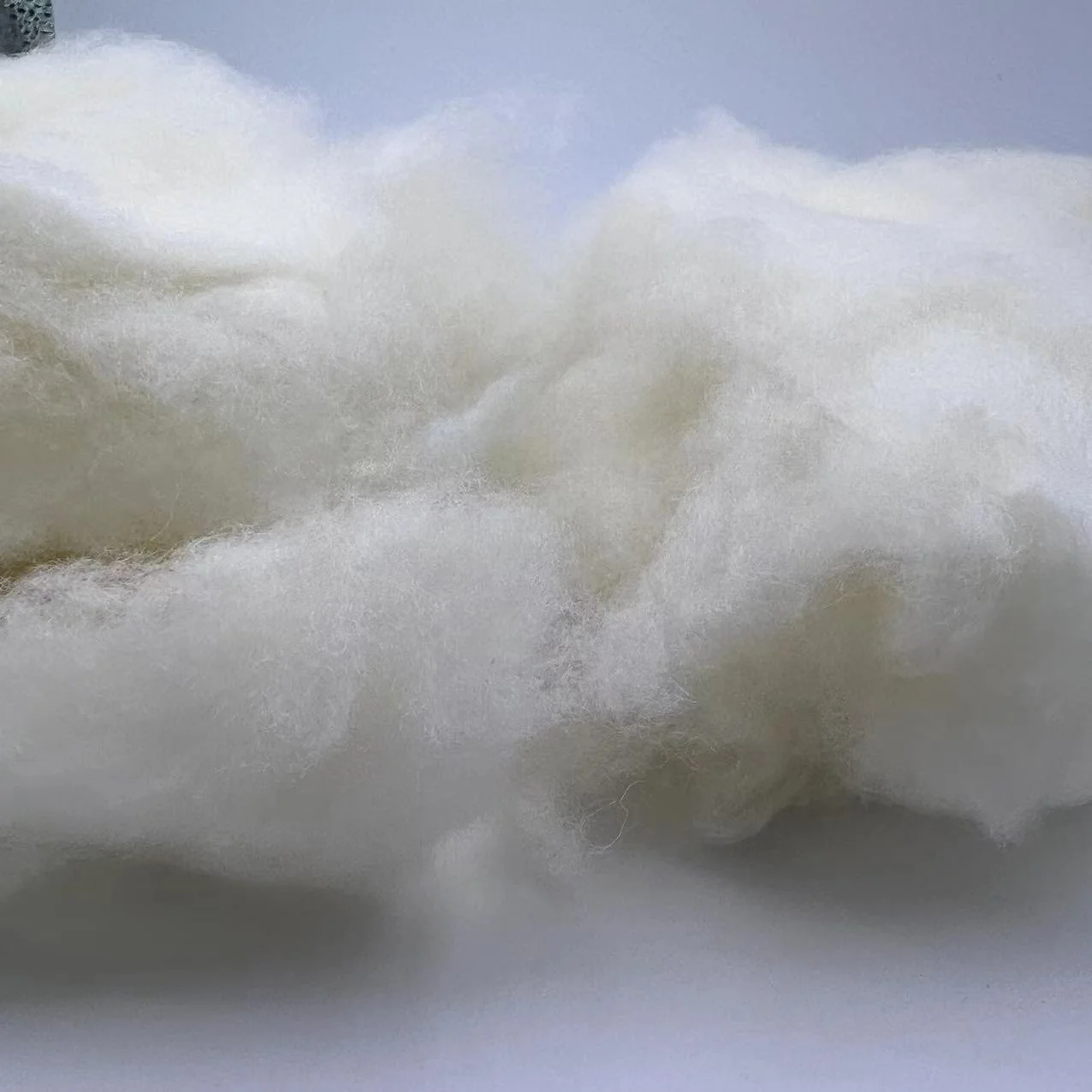 Best quality natural carded sheep hair 100% sheep wool dehaired wool fiber for spinning yarn