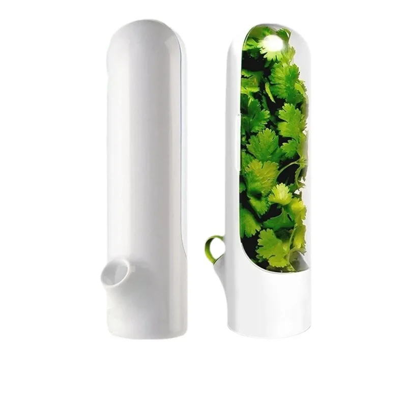 Herb Saved Pot Vanilla Vegetable Mint Asparagus Fresh-Keeping Plastic Storage Box for Home Kitchen Use