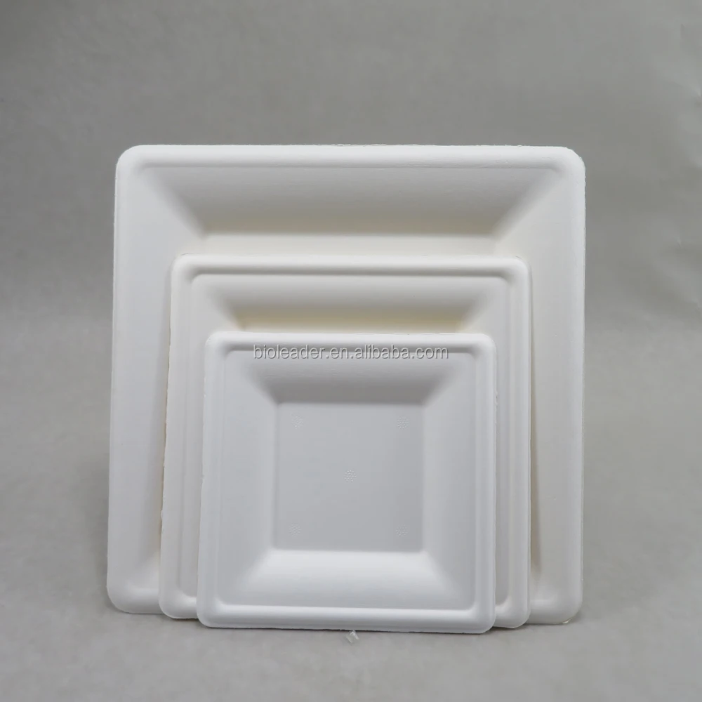 Biodegradable Sugarcane Bagasse 10x10 Inch Square Plates