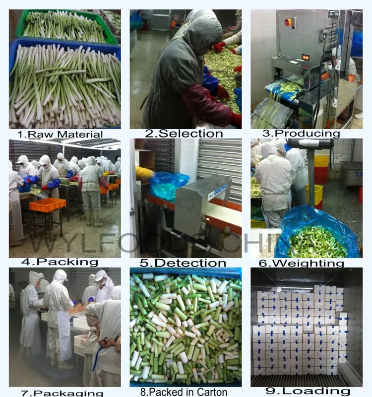 Wholesale new crop garlic sprouts  cheap Price IQF Vegetables Frozen Green Garlic Cut with High Quality