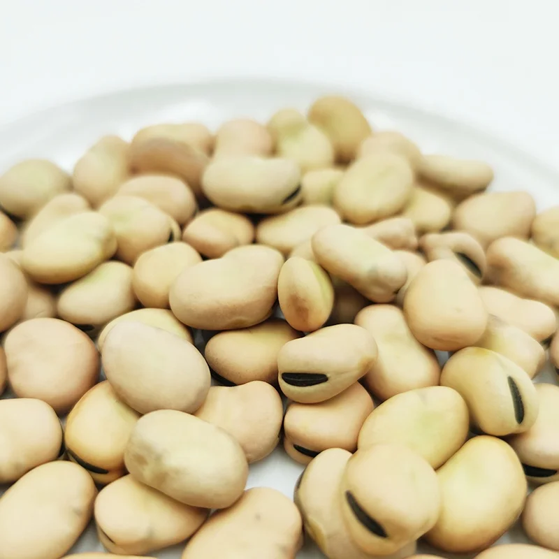 Bulk Faba Beans Baking Ingredients White Bulk Packaging 50kg/pp Bag Dried FD Broad Bean Fava Beans Vicia Faba Hongji 15 Mm 50 Kg