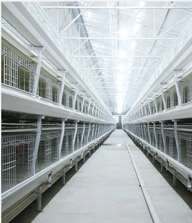 Layer Chicken Farming Automated H Frame Type Battery 3 Tiers 4 Tiers Laying Hen Cage