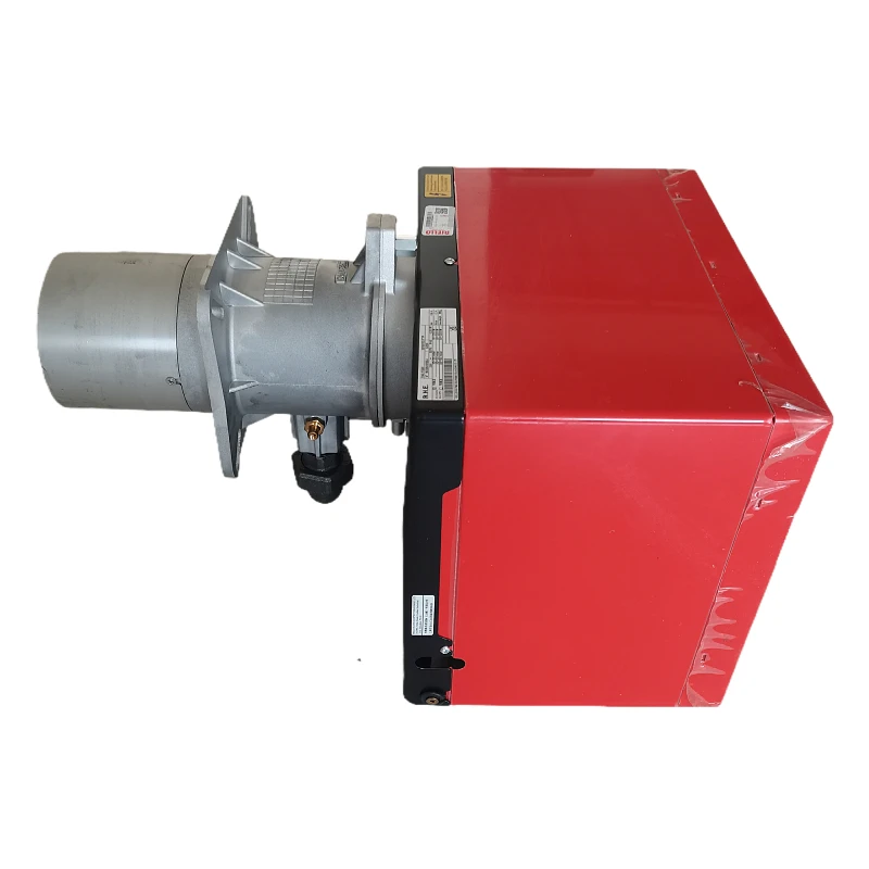 Original Italy Riello40 FS20 Gas Burner