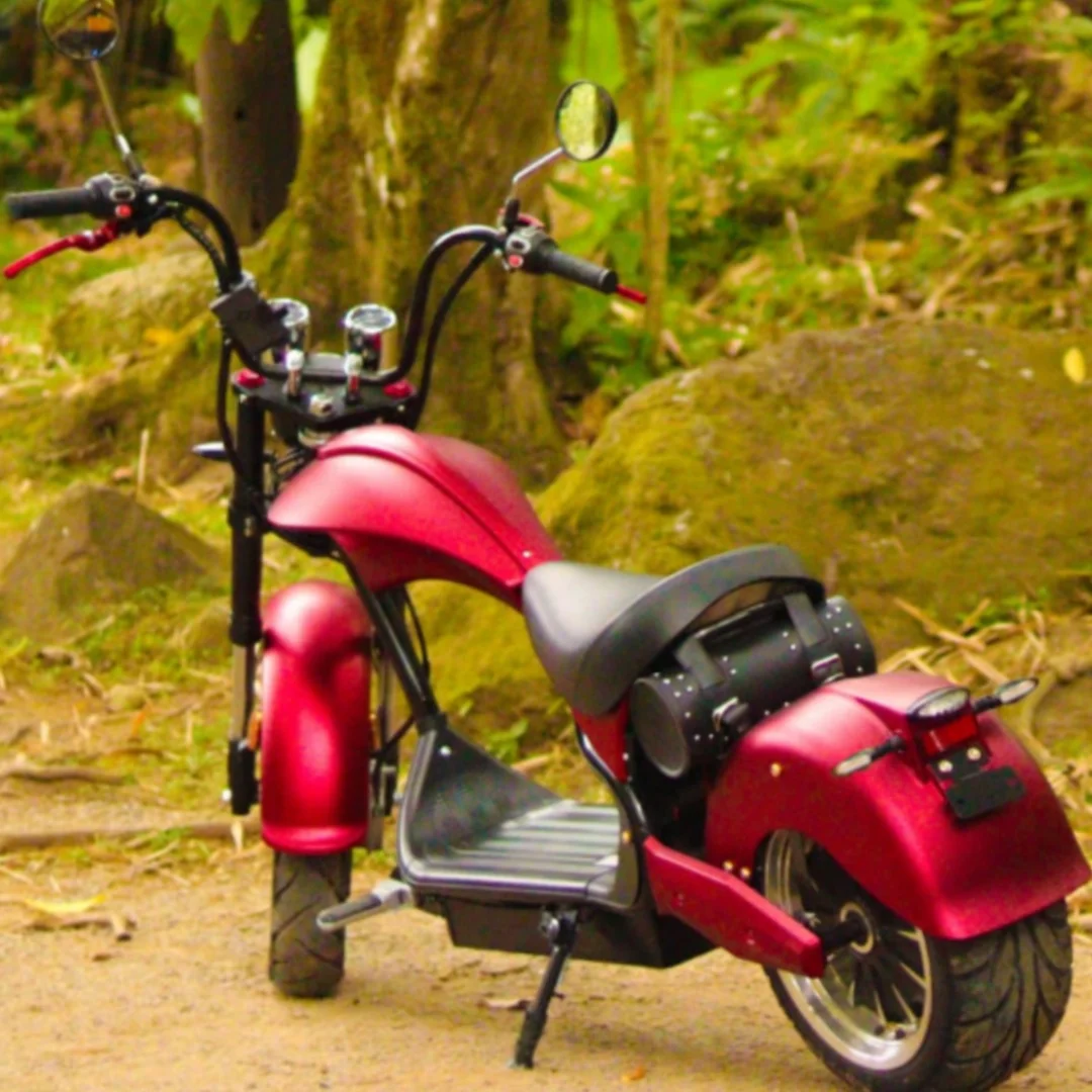 2024 MH3 Citycoco EEC Approved 4000W Power 40AH Battery - The Hottest Unisex Electric Scooter Deal