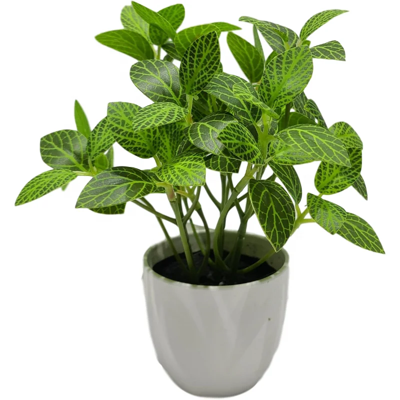 
16cm new pattern green net potted plant 