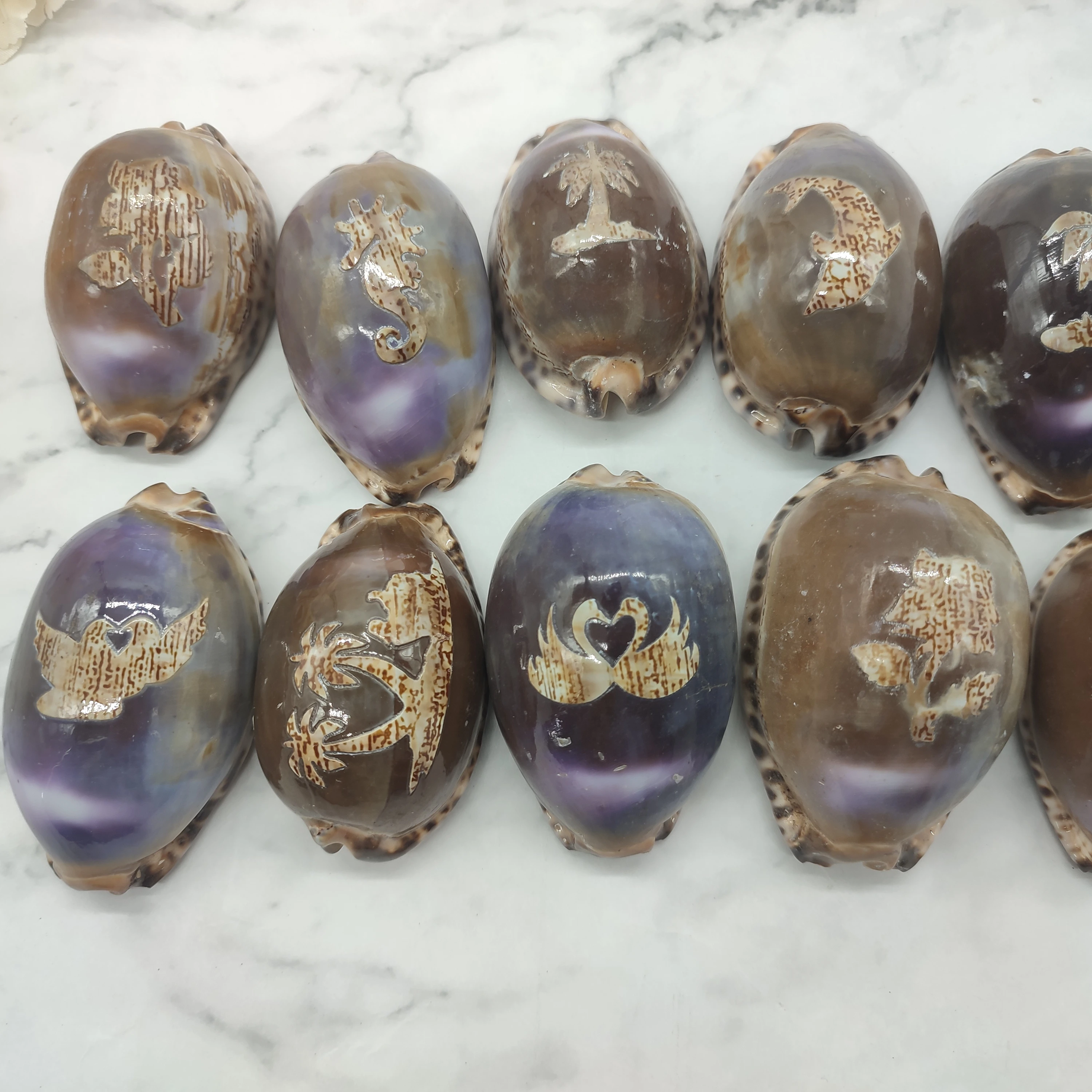 Natural Large Cowrie Seashell With Ocean Style Carving