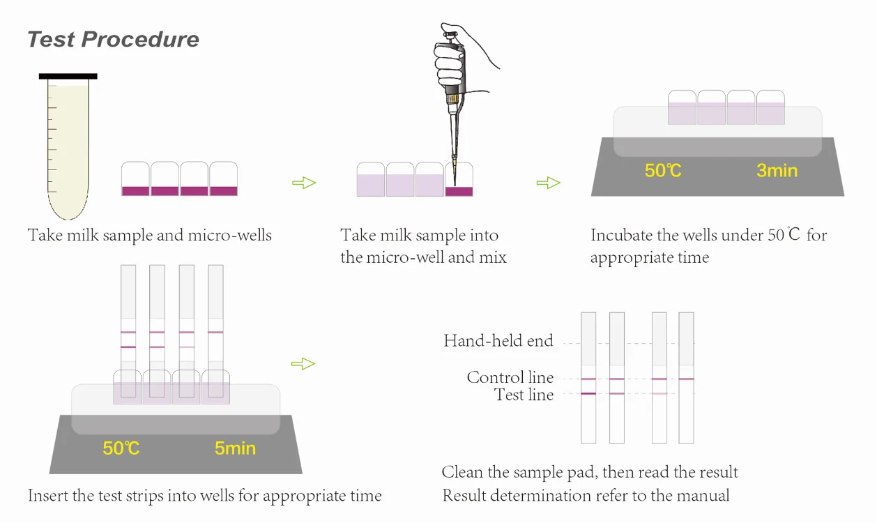 milk test incubate 50.jpg